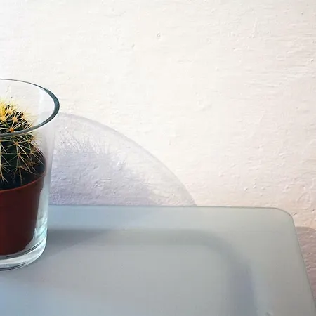 Piaskowa 7 Kwatera prywatna Władysławowo